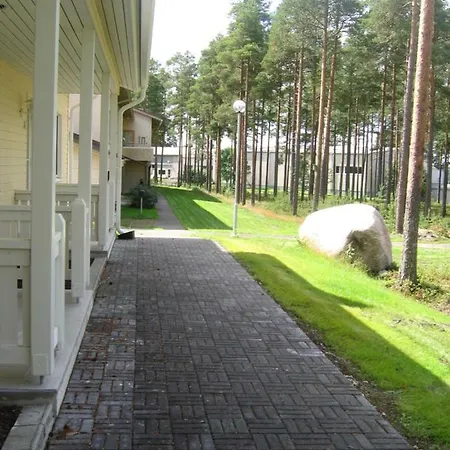 Kitinrivi Kannus